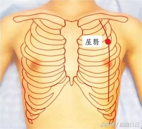 旗門穴|人體穴位大全——期門穴：胸脅滿痛，黃疸，嘔吐，呃。